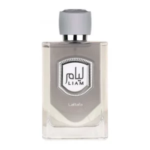 Liam Grey Eau de Parfum 100 ml